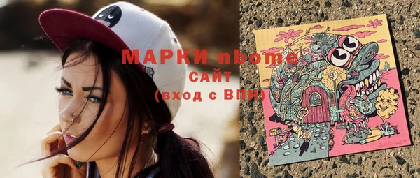 прущий лед Пересвет