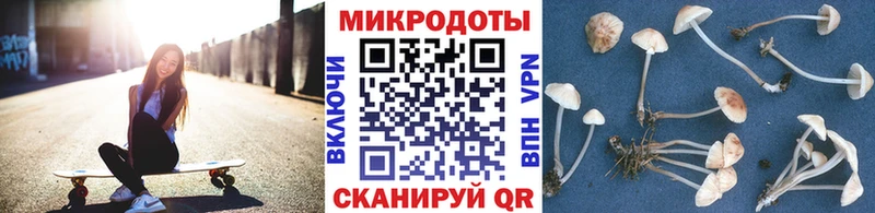 Псилоцибиновые грибы Psilocybine cubensis ссылка на мегу ССЫЛКА Туран